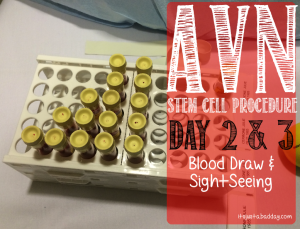 AVN Stem Cell Procedure - Regenexx - itsjustabadday.com