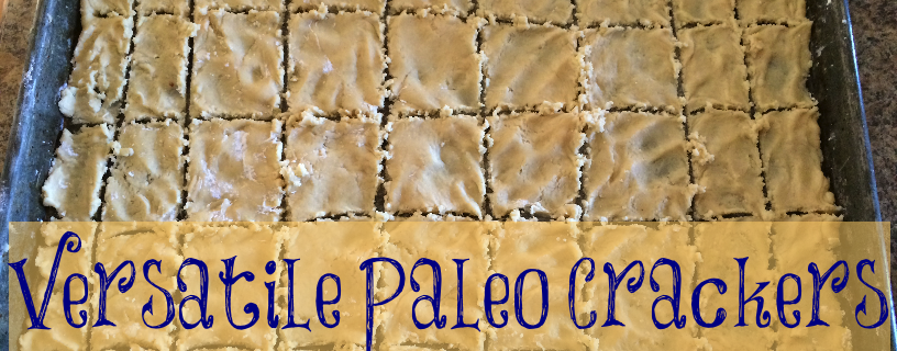 Chew on this: Paleo crackers | autoimmune paleo, anti-inflammatory, elimination diet, autoimmune diet | spoonie health coaching: juliecerrone.com | blog: itsjustabadday.com