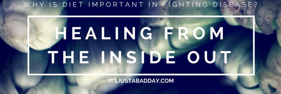 Healing from the inside out. Why diet is important in fighting disease. | itsjustabadday.com